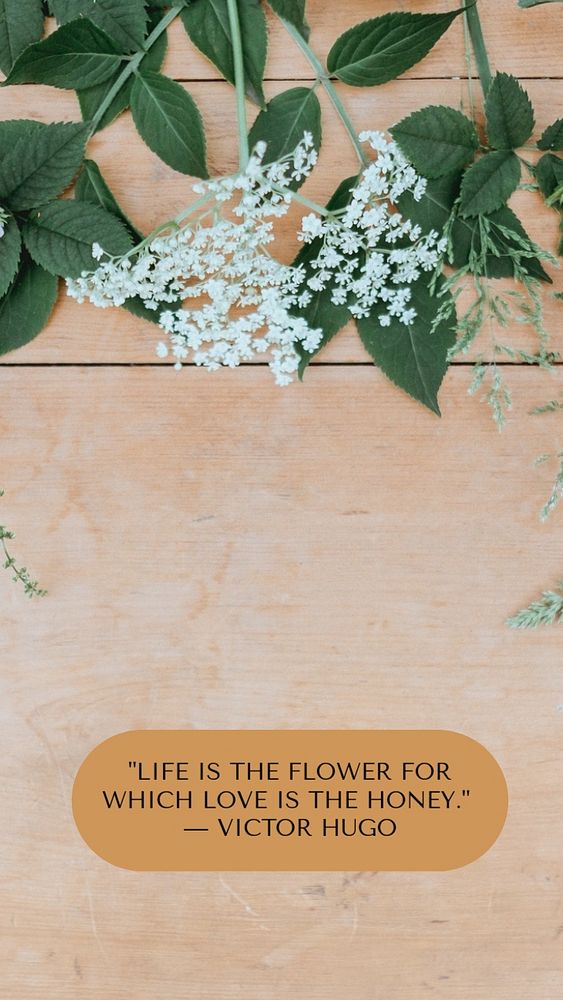 Victor Hugo quote  Instagram story template, editable text