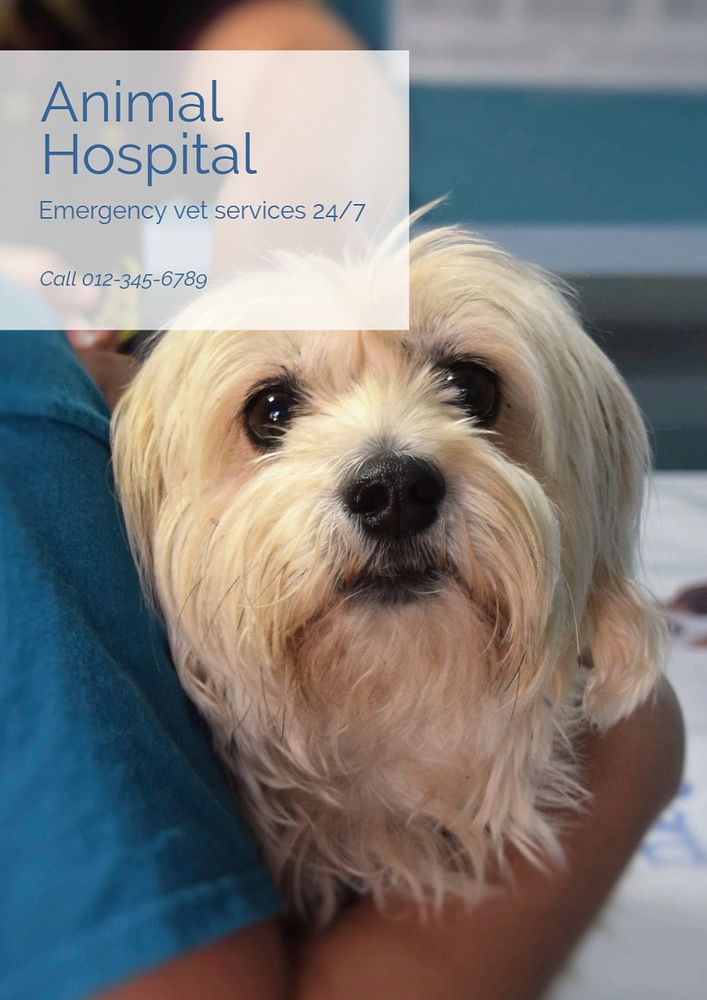 Animal hospital  poster template, editable text and design