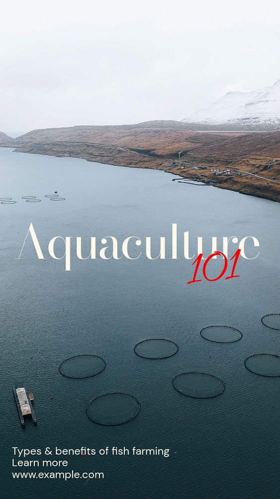 Fish farming social story template, editable design for Instagram