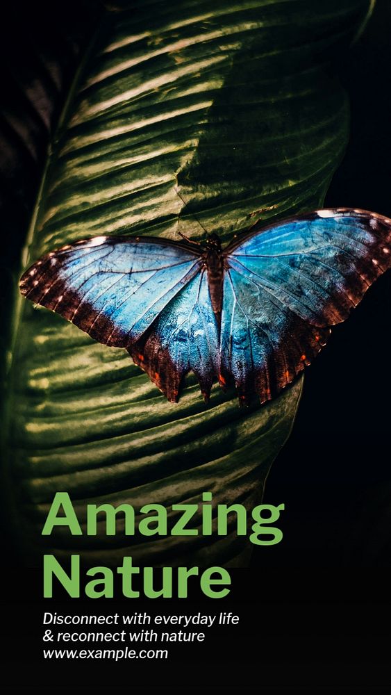 Amazing nature Instagram story template, editable text