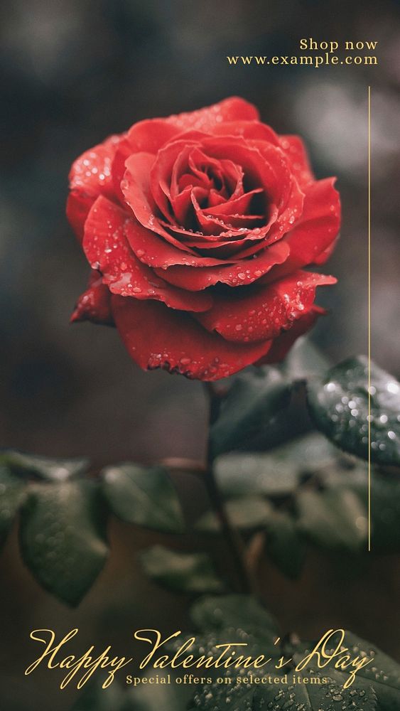 Valentine's day sale Instagram story template, editable text