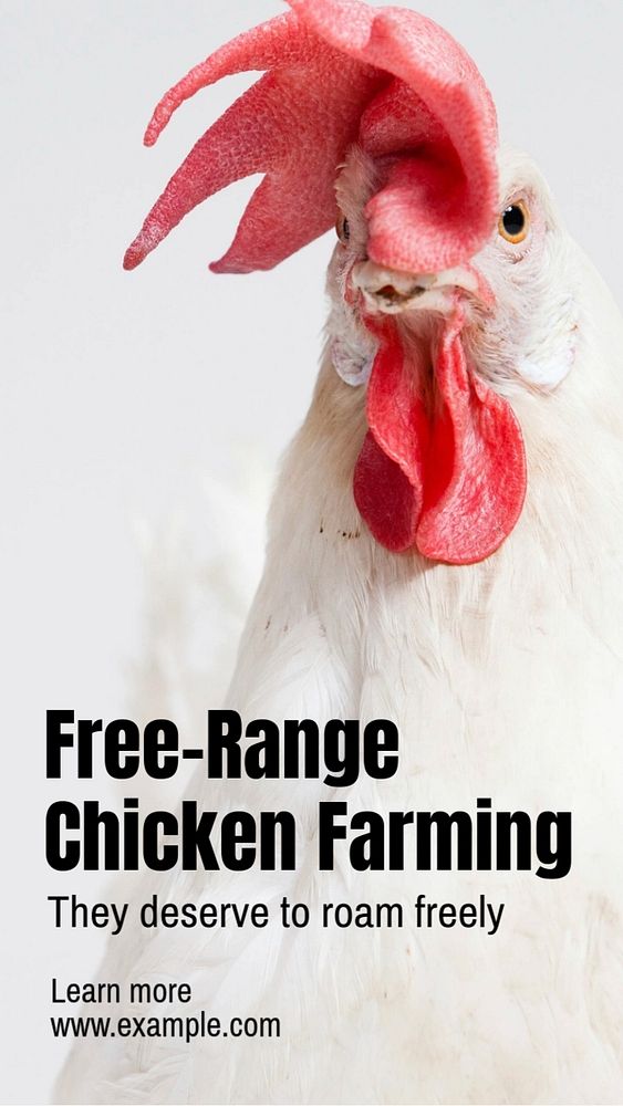 Chicken farming Instagram story template, editable text