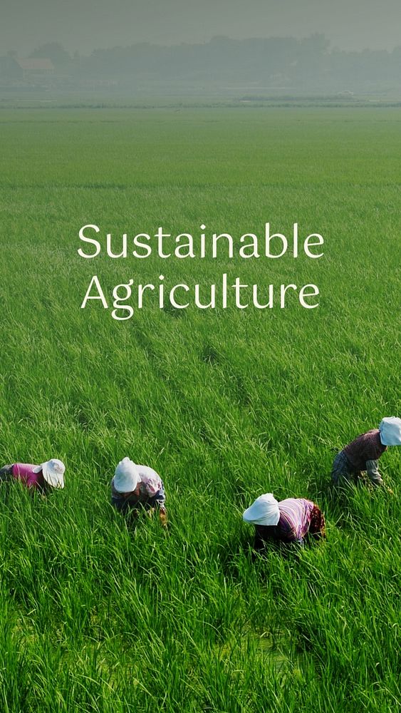 Sustainable agriculture Instagram story template, editable text