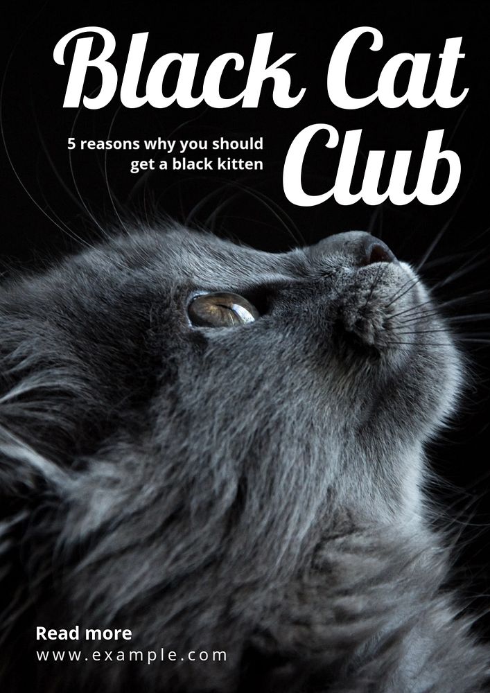 Black cat club poster template, editable text and design