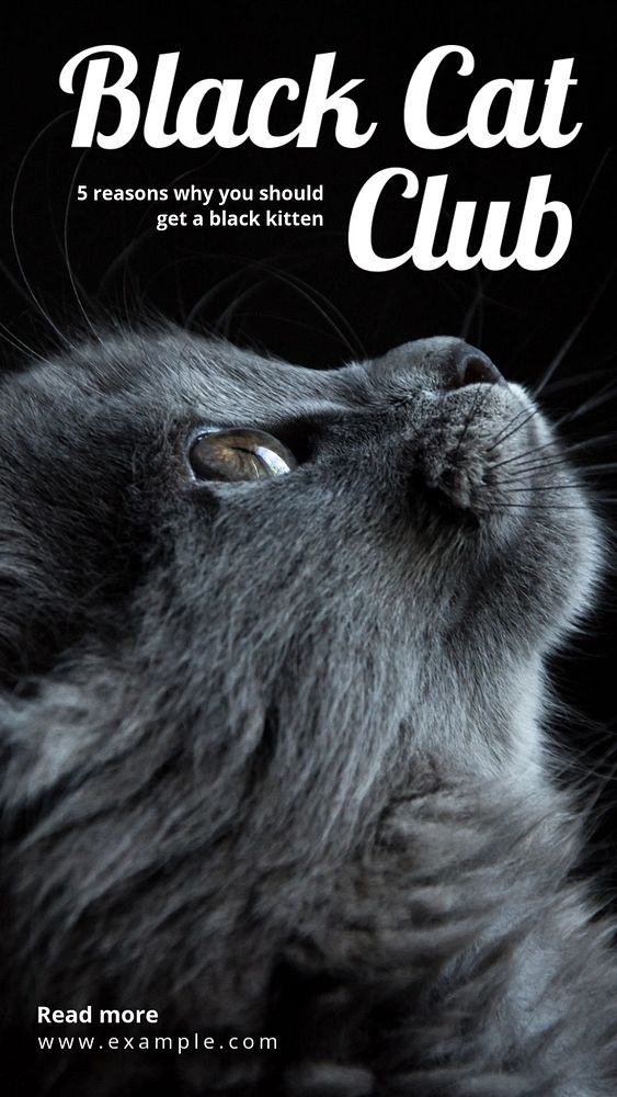 Black cat club Instagram story template, editable text