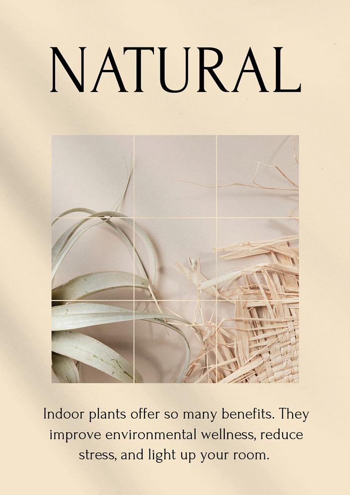 Indoor plant poster template, editable text and design