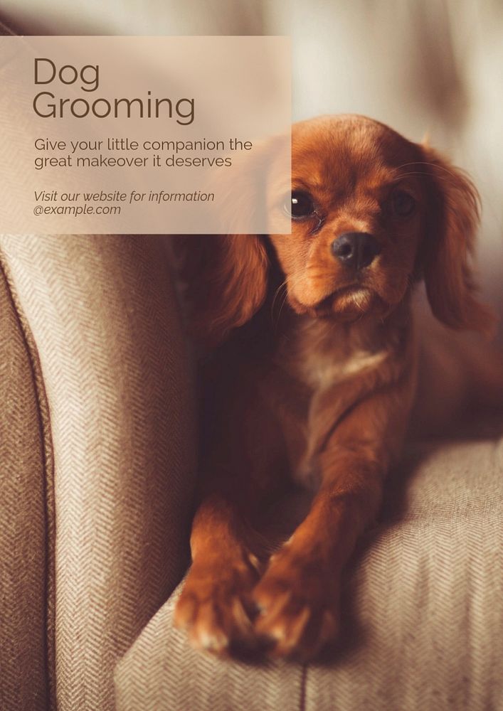 Dog grooming  poster template, editable text and design