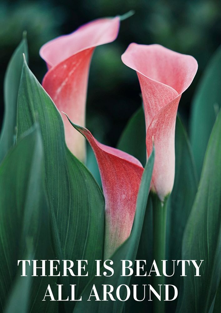 There is beauty all around poster template, editable text and design