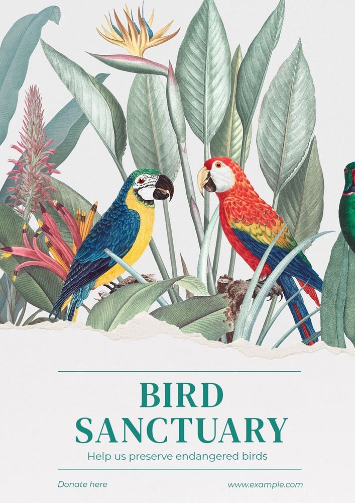 Bird sanctuary  poster template, editable text and design