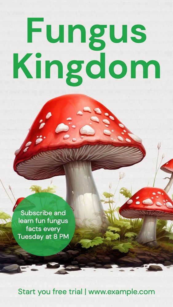 Fungus kingdom Instagram story template, editable text