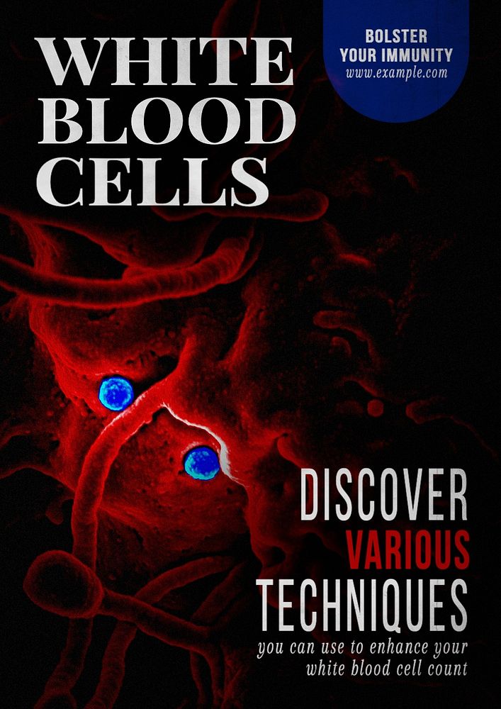 White blood cells poster template and design