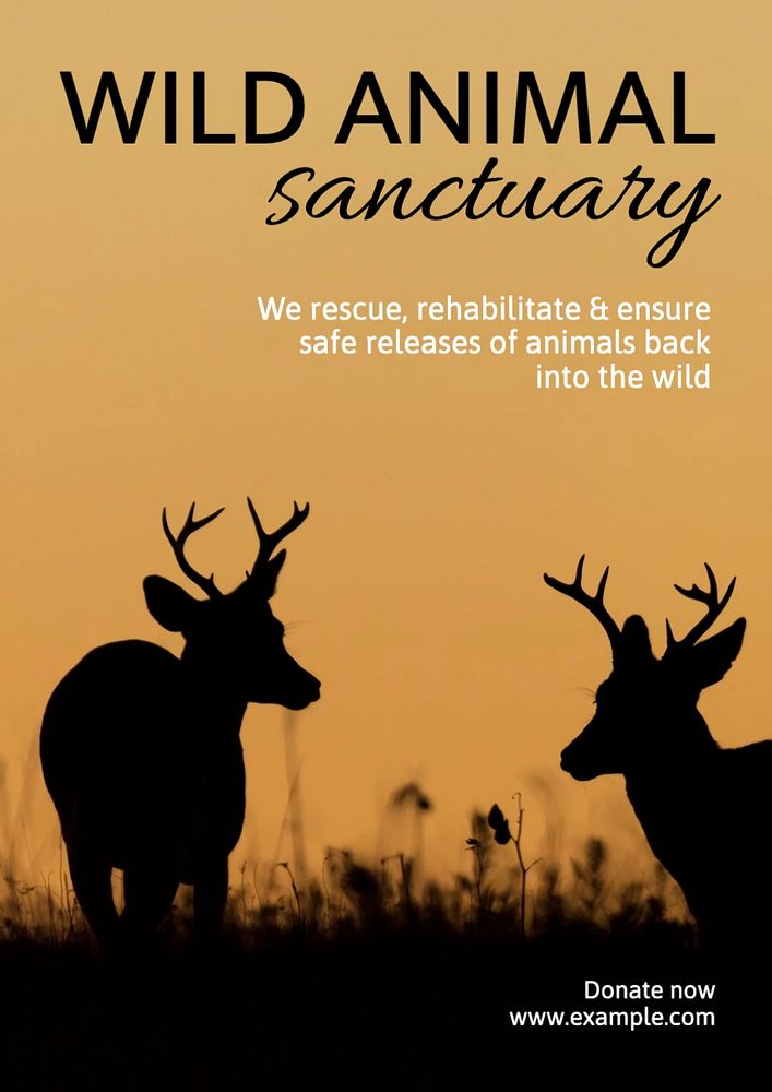 Wildlife sanctuary poster template, editable text and design