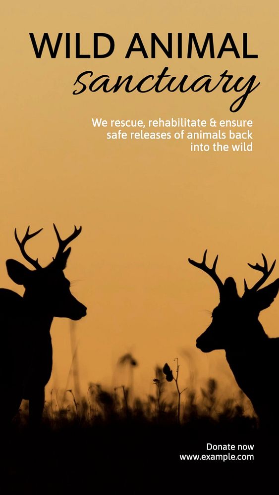 Wildlife sanctuary Instagram story template, editable text