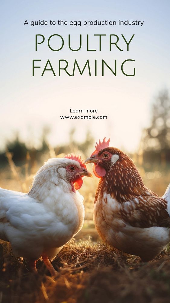 Poultry farming Instagram story template, editable text