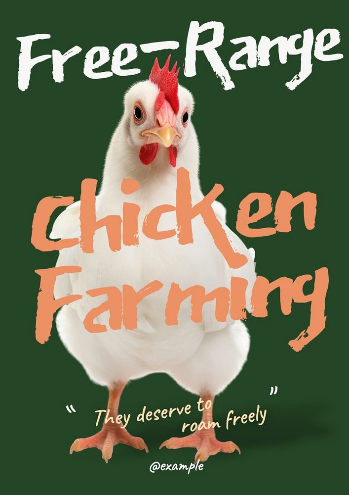 Chicken farming poster template, editable text and design