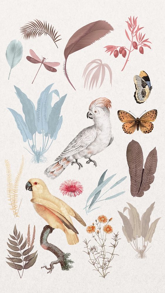 Editable vintage exotic bird illustration remix set