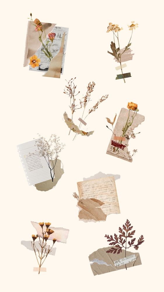Editable aesthetic floral collage element | Premium Editable Design ...