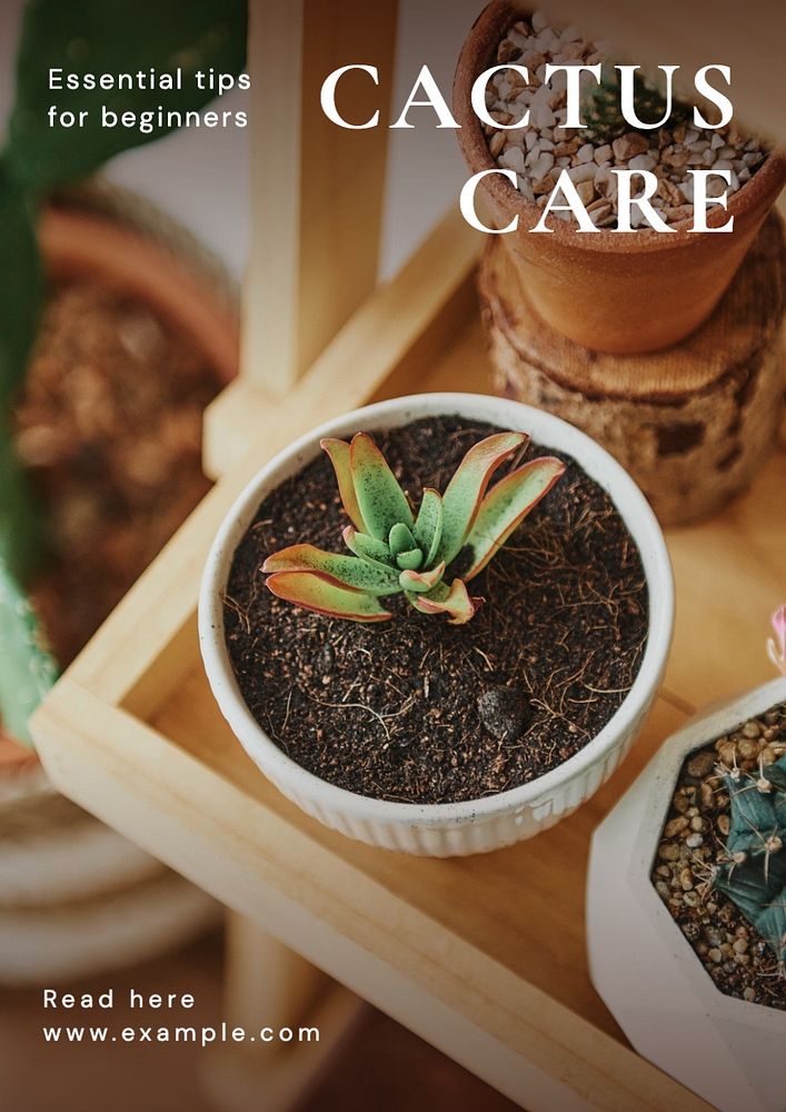 Cactus care poster template, editable text and design