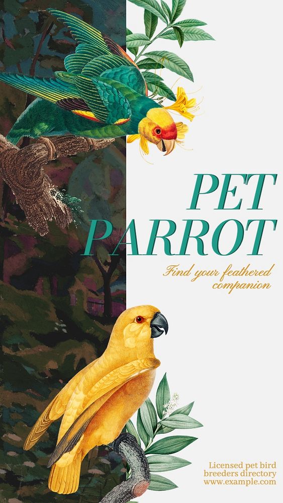 Pet parrot Instagram story template