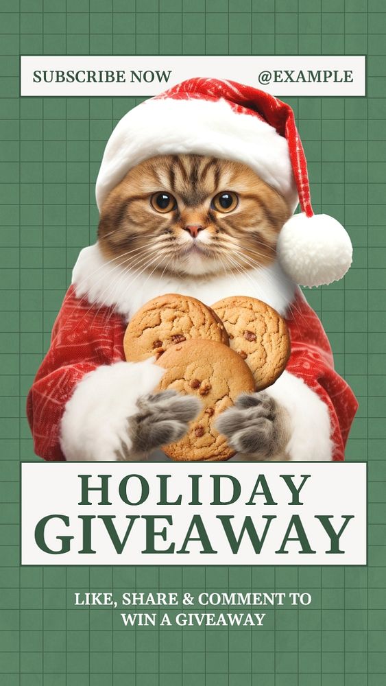 Holiday giveaway Instagram story template