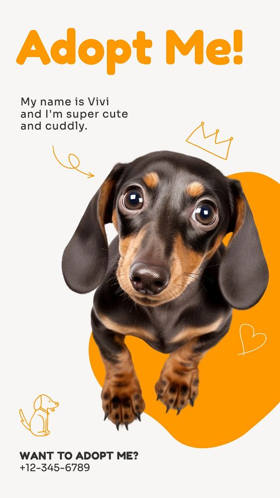 Pet adoption Instagram story template