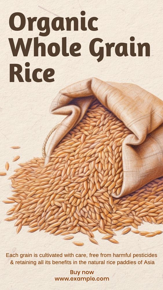 Organic rice Instagram story template