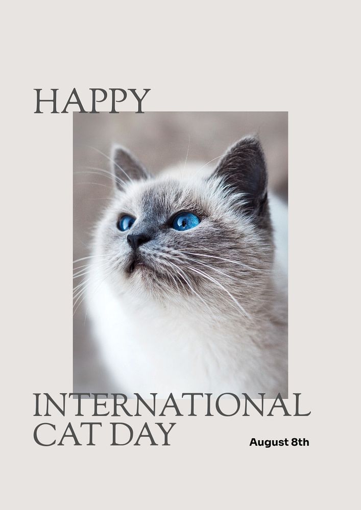 International cat day poster template, editable text & design