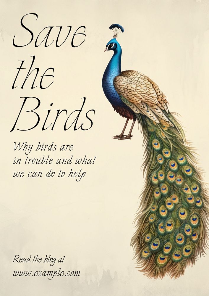 Save the birds poster template