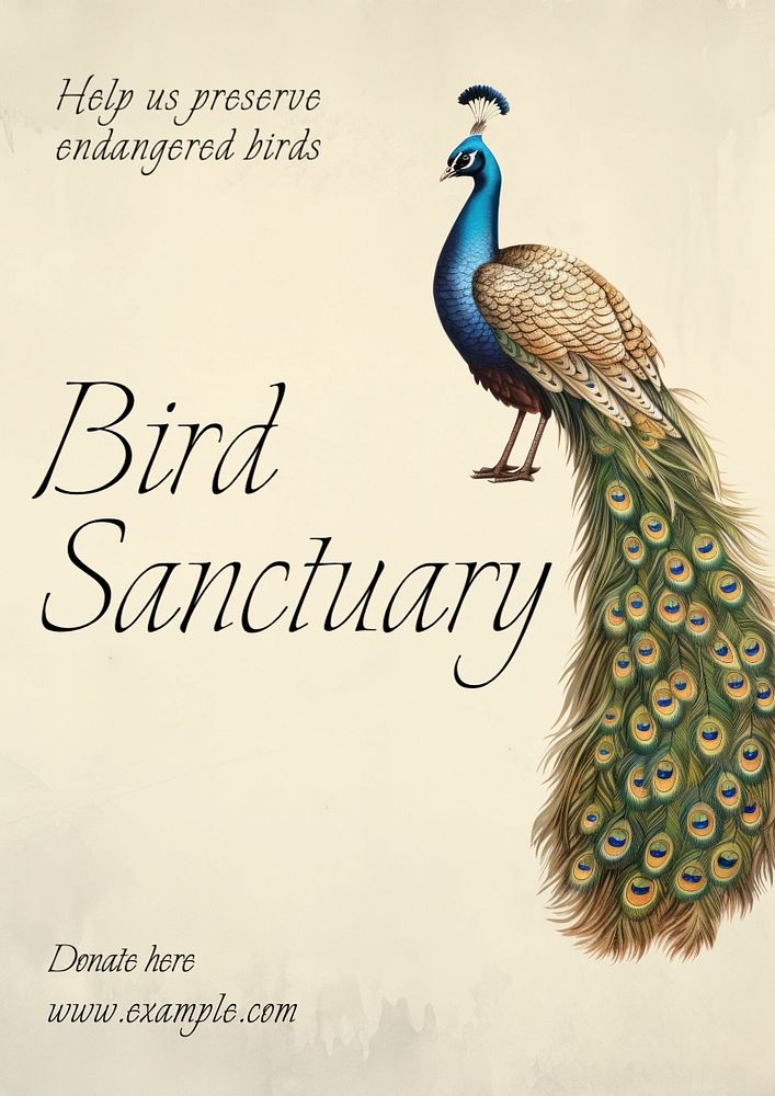 Bird sanctuary poster template