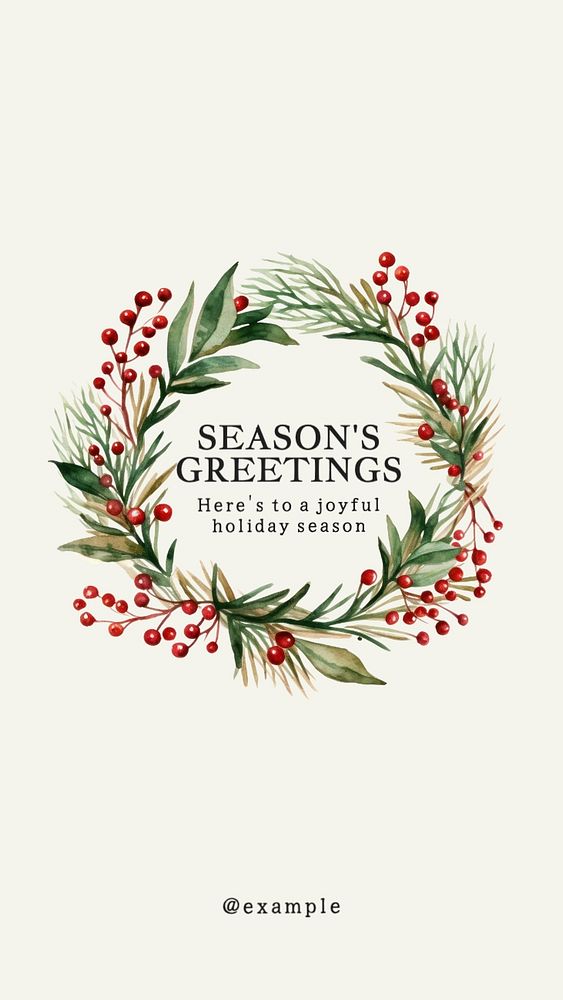 Season's greetings Facebook story template