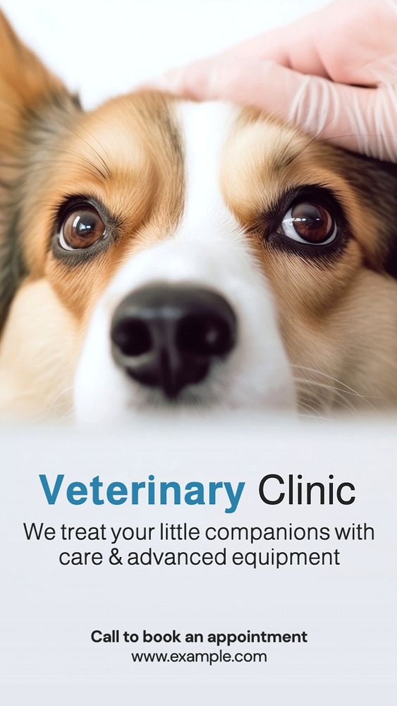 Vet clinic Facebook story template