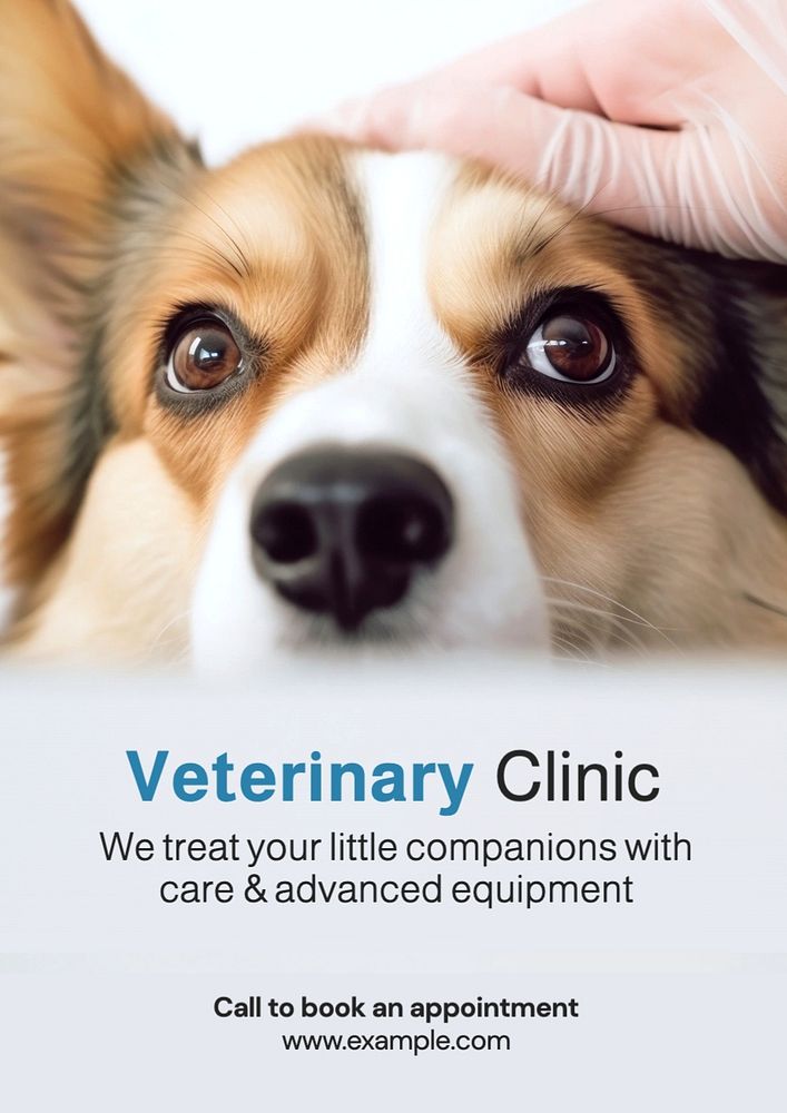 Vet clinic poster template