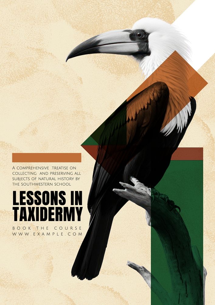 Taxidermy lesson poster template