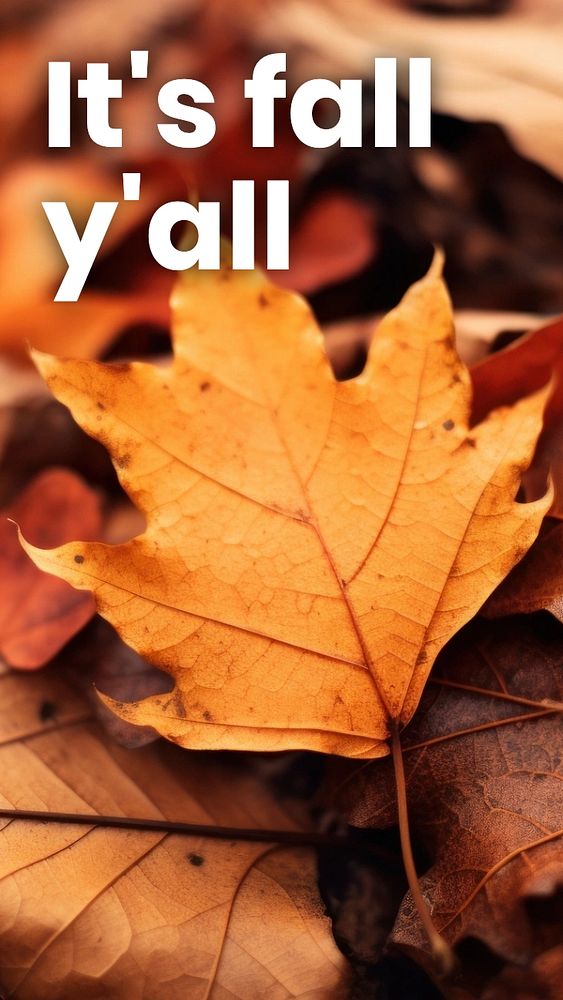 It's fall Facebook story template