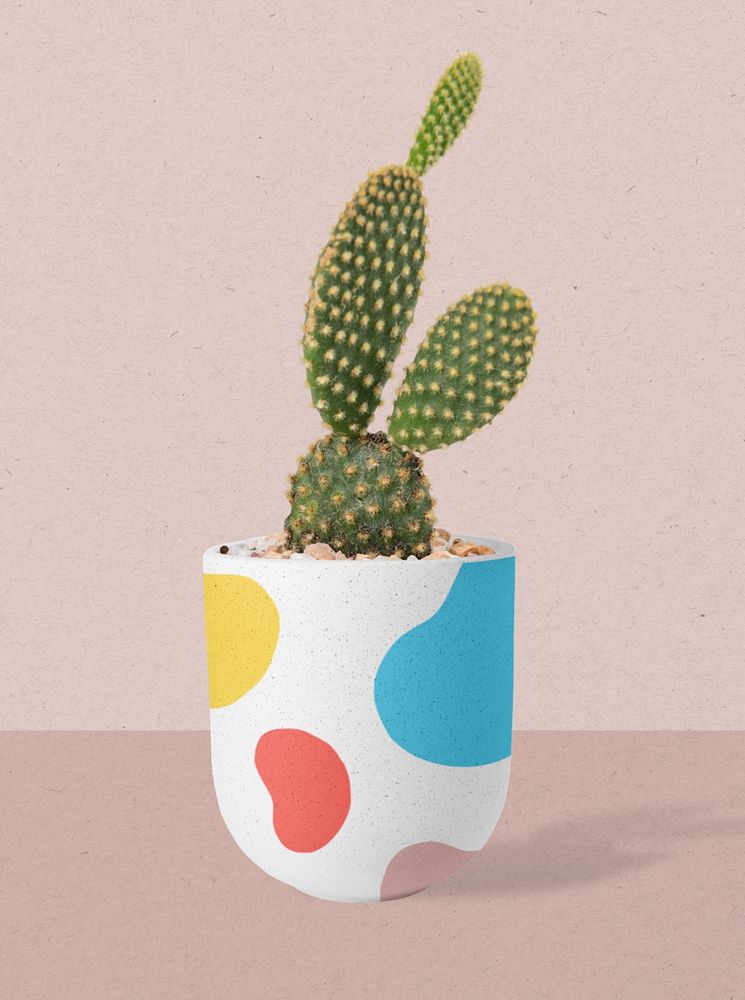 Cute cactus plant pot mockup, editable design