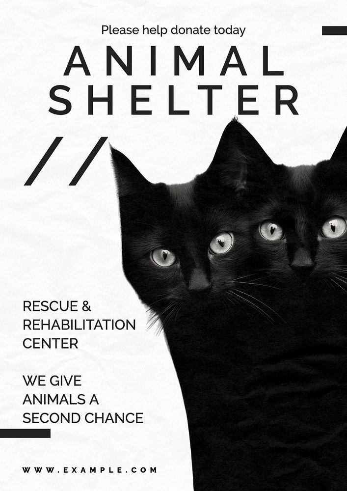 Animal shelter poster template