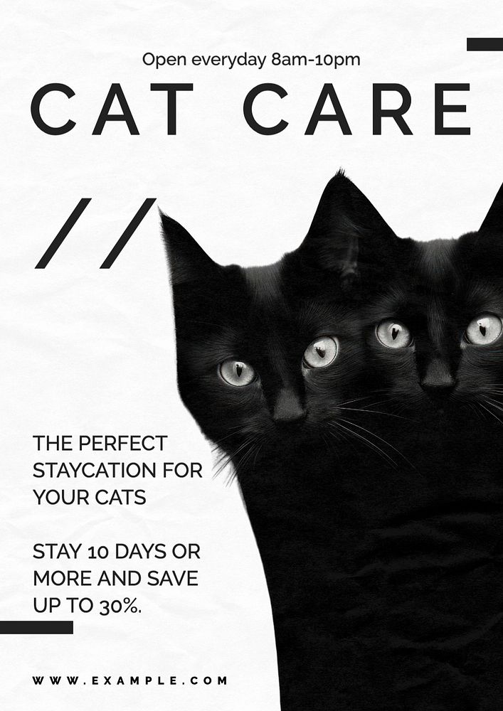 Cat care poster template