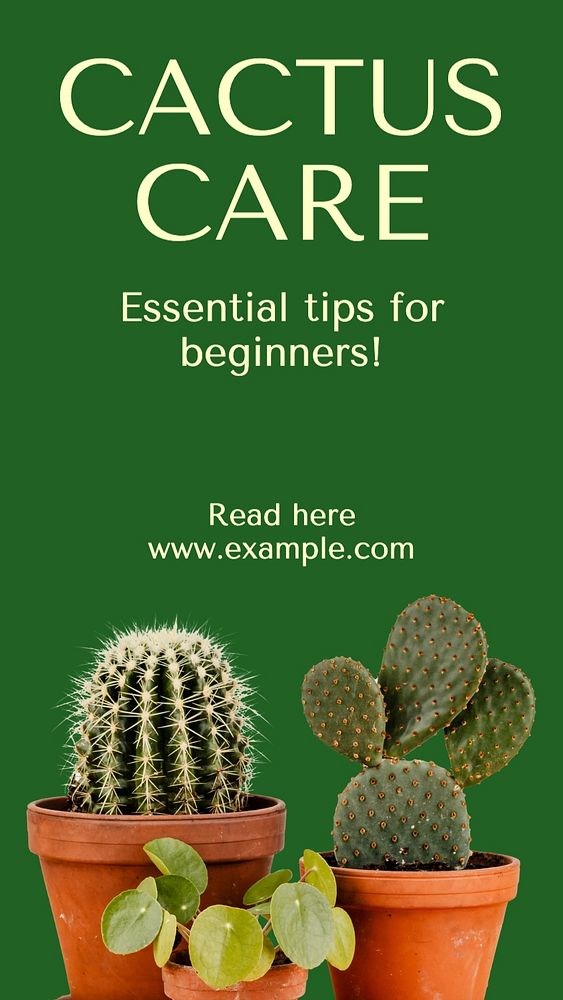 Cactus care Instagram story template