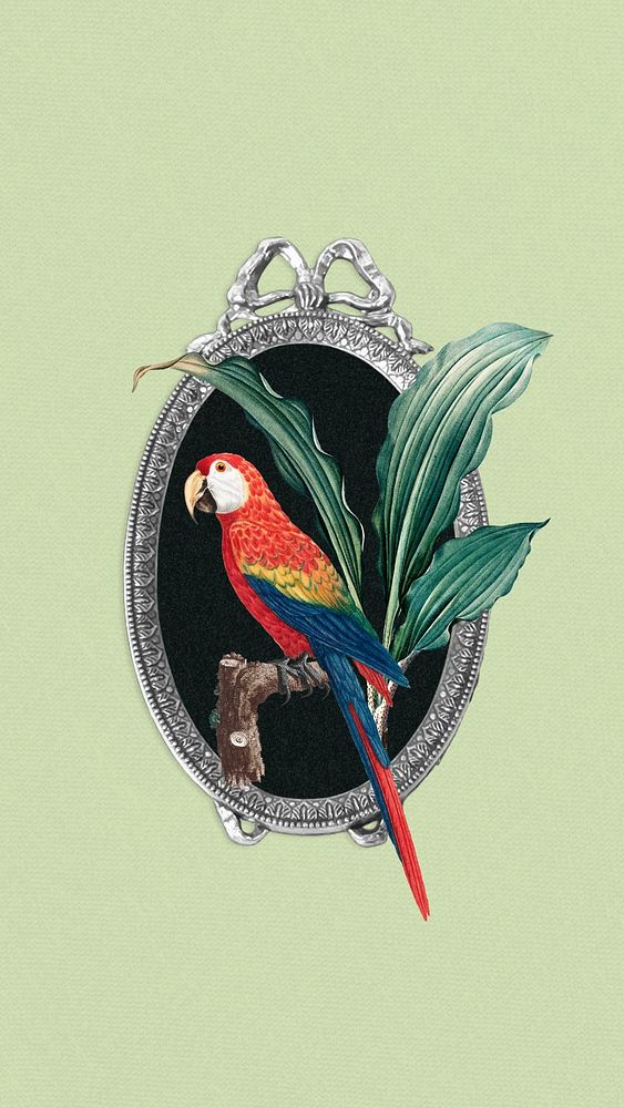 Vintage parrot & mirror iPhone wallpaper, animal illustration. Remixed by rawpixel.