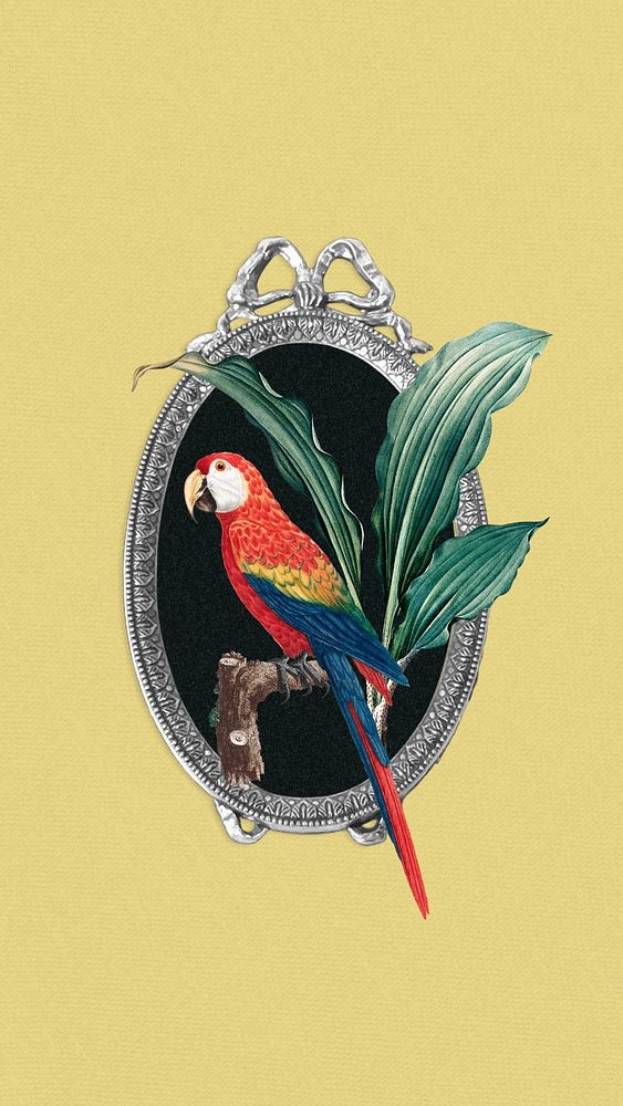 Vintage parrot & mirror iPhone wallpaper, animal illustration. Remixed by rawpixel.