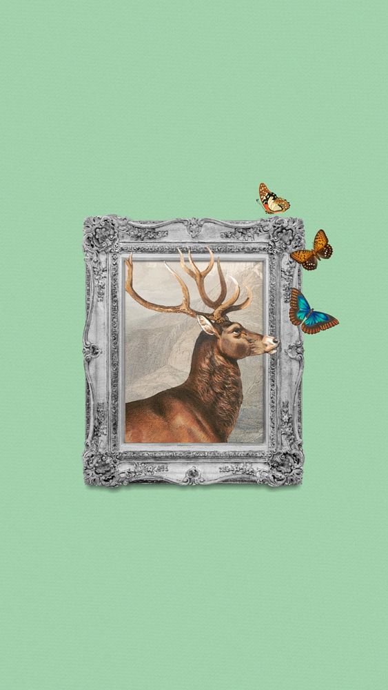 Stag deer frame iPhone wallpaper, aesthetic animal. Remixed by rawpixel.