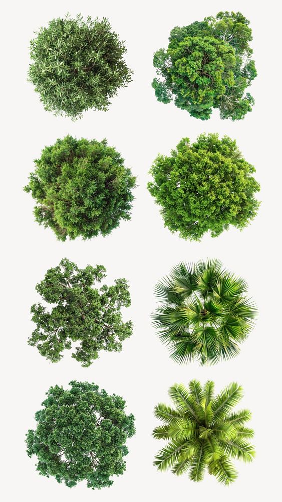 Tree top view set, editable | Premium Editable Design - rawpixel