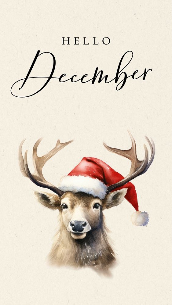 Hello december facebook story template free editable template rawpixel