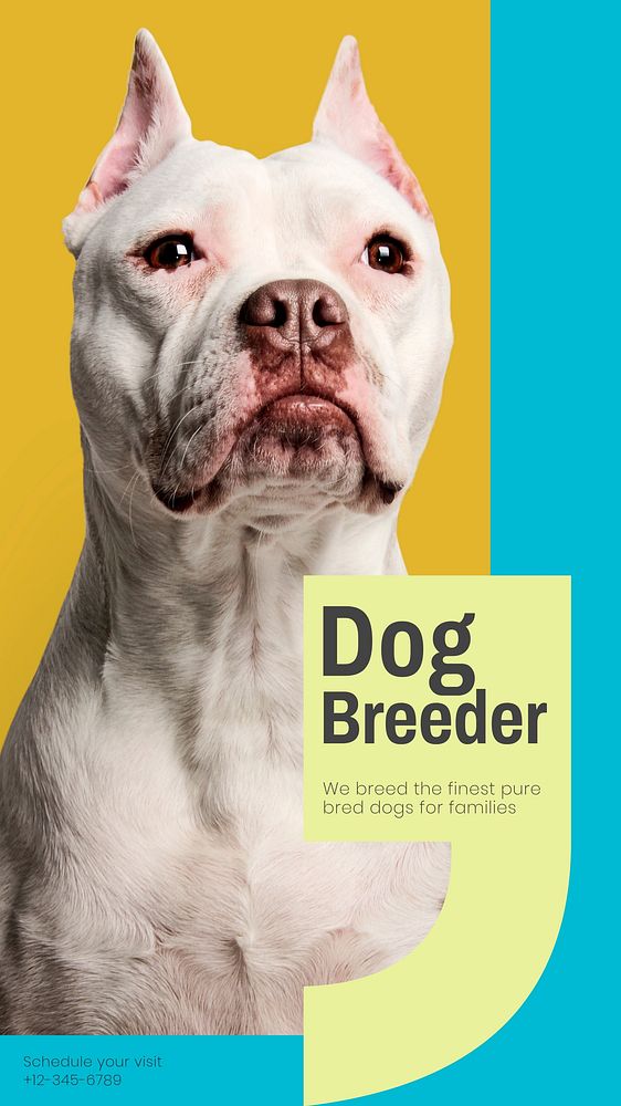 Dog breeder social story template, editable Instagram design