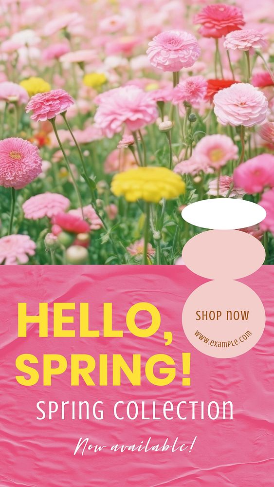 Spring collection Facebook story template