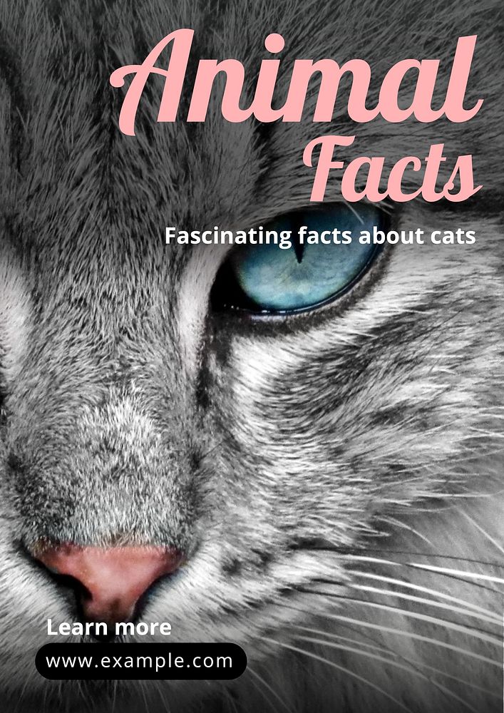 Animal facts   poster template
