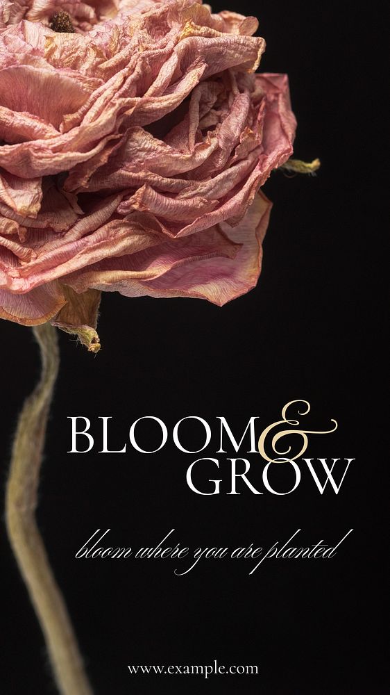Bloom & grow    Instagram story temple