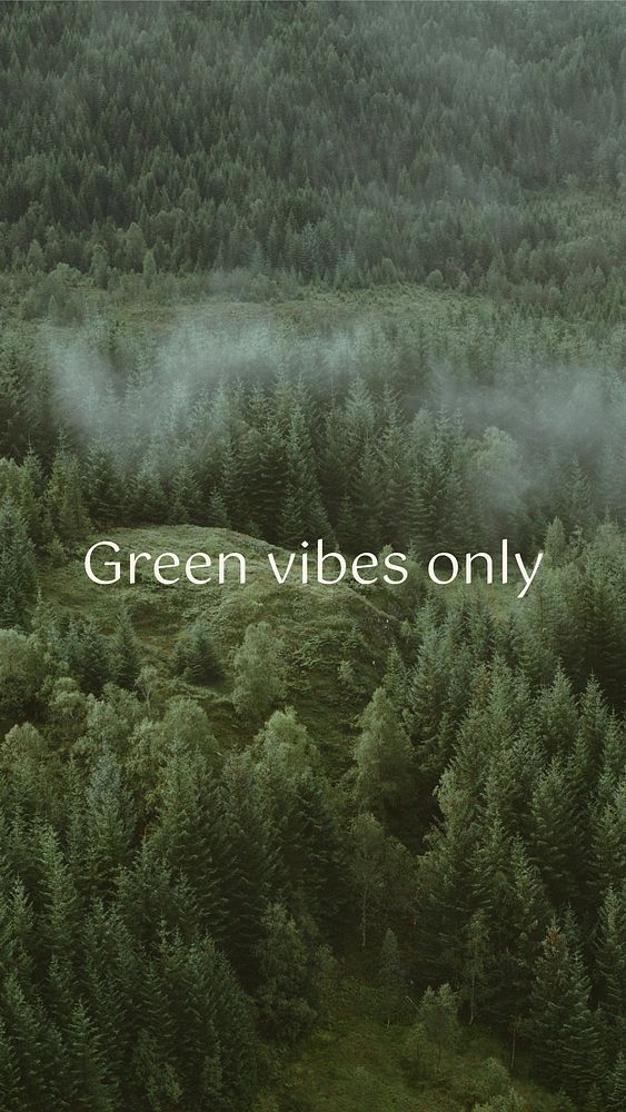 Green vibes only   Instagram post template