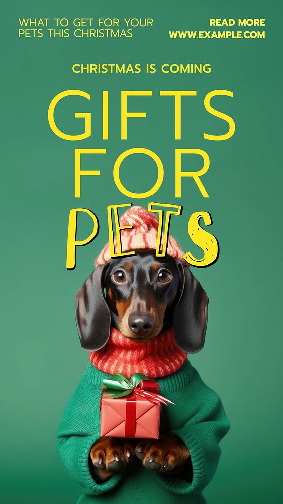 Gifts for pets  Instagram story temple