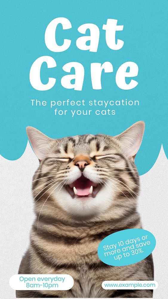 Cat care Instagram story template